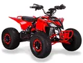 Sport Energy FZ 1500
