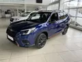 Subaru Forester Subaru Forester