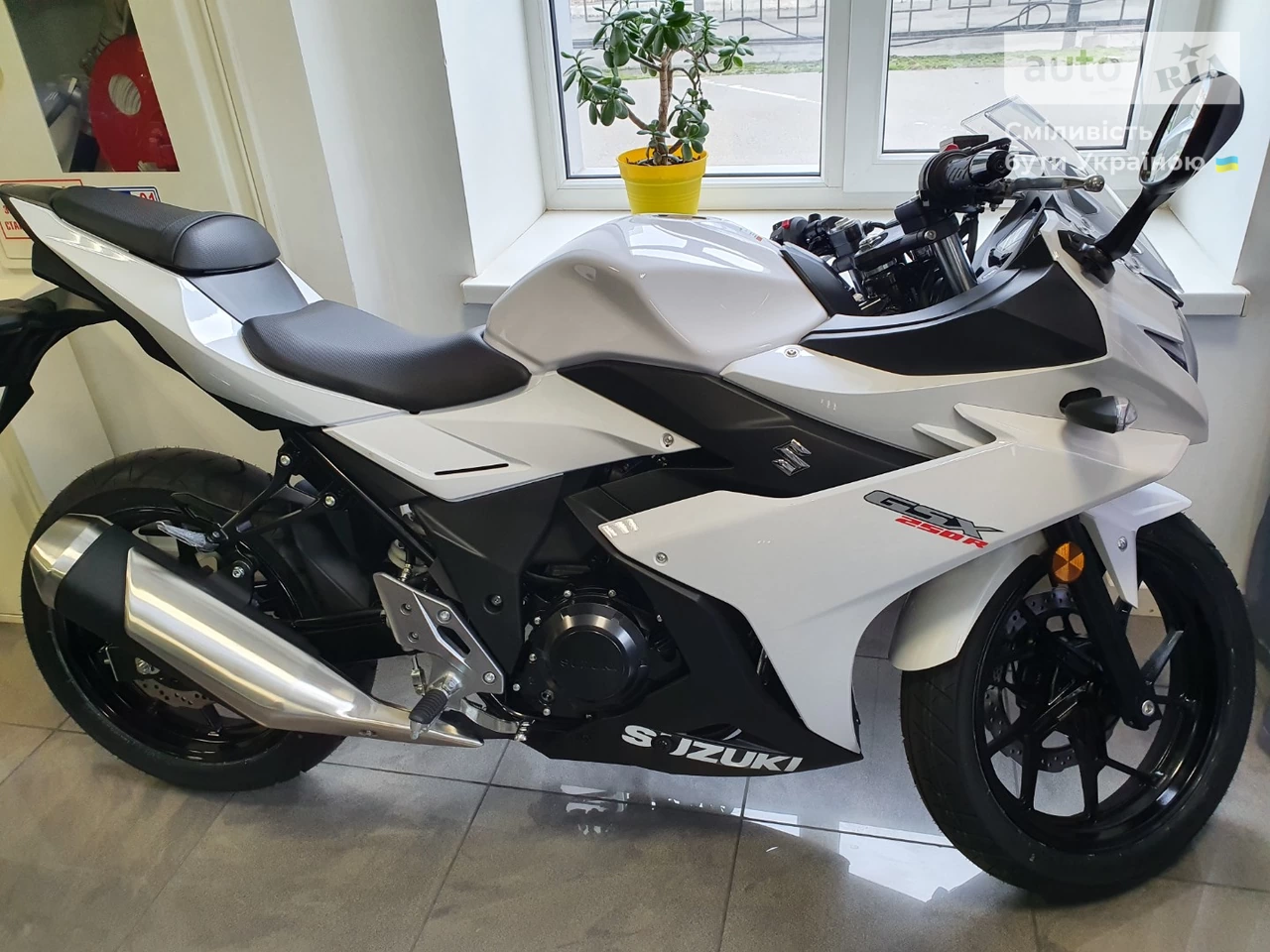 Suzuki GSX Base