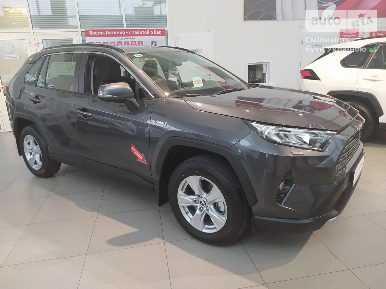 Toyota RAV4 Live