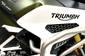 Triumph Tiger Base