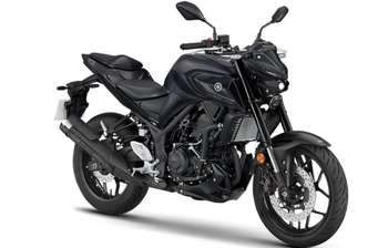 Yamaha MT 2024 в Хмельницкий