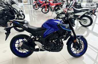 Yamaha MT 2024 в Хмельницкий