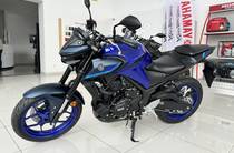 Yamaha MT Base