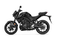 Yamaha MT Base