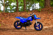Yamaha PW 50 Base