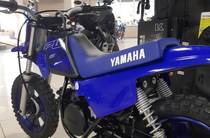 Yamaha PW  