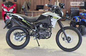 Zonsen  ZS200GY-13 2025 Base