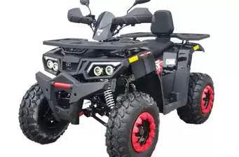 Comman Scorpion
