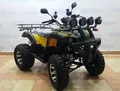 Comman Scorpion Comman Scorpion