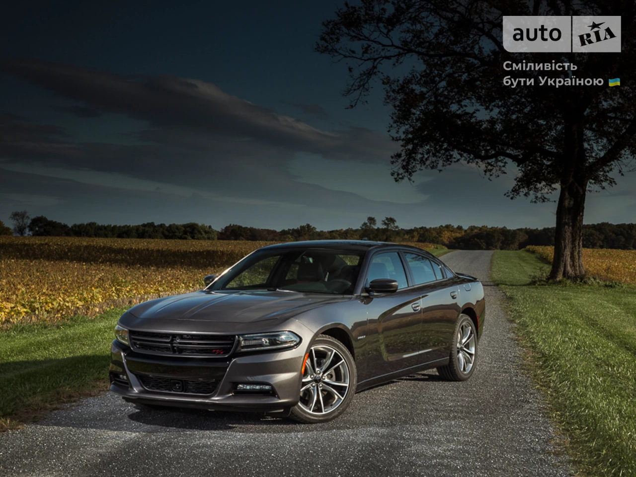 Dodge Charger SRT8 Superbee