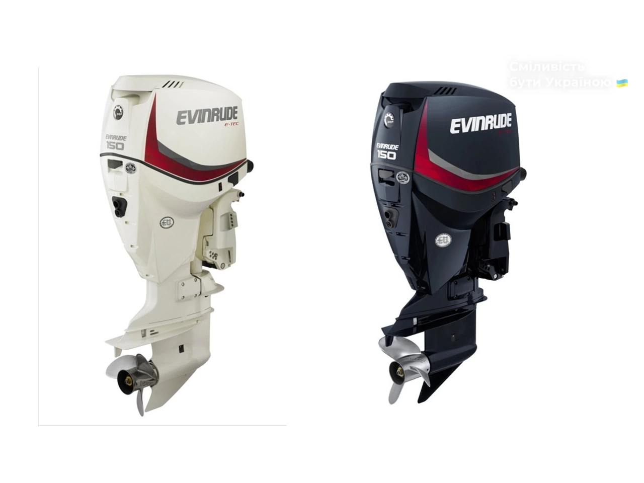 Evinrude E Base