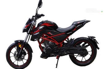 Forte Puma 200 2025 Base