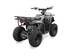  J-Rider 1-е покоління Електроквадроцикл
