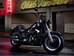 Harley-Davidson Fat Boy V поколение Чоппер