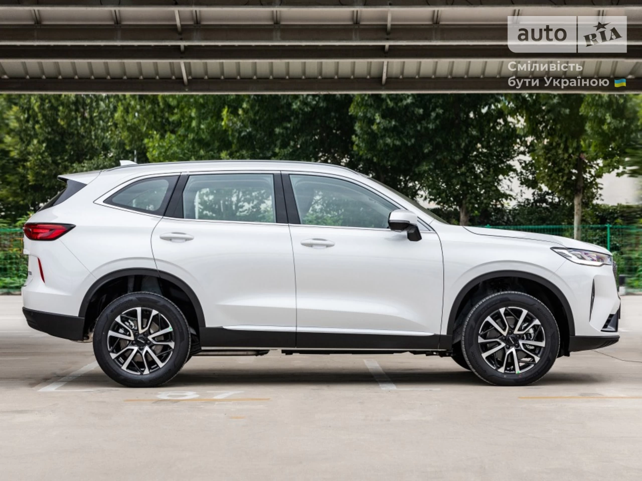 Haval H6 Medium