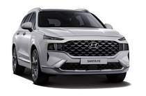 Hyundai Santa FE Top