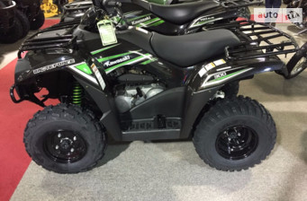 Kawasaki Brute Force
