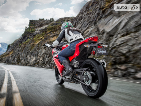 Ninja Kawasaki Ninja