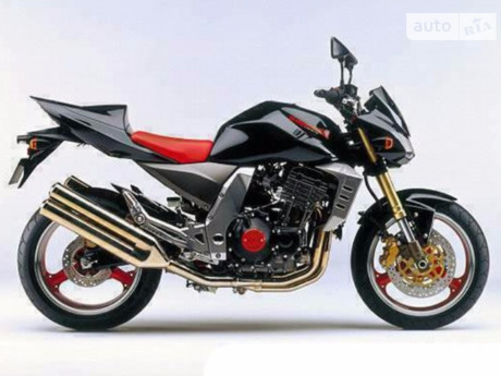 Kawasaki Z 2010