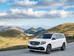 Mercedes-Benz GLS-Class X166 Кросовер
