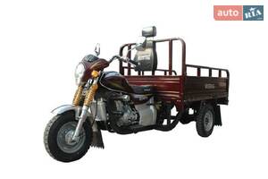 Musstang mt250zh-4v 1-е поколение Трицикл