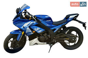 Rider iron-250 I поколение Мотоцикл