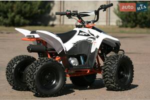 SkyBike kayo 1-е поколение Квадроцикл