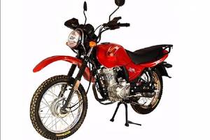 SkyBike wild I покоління Мотоцикл