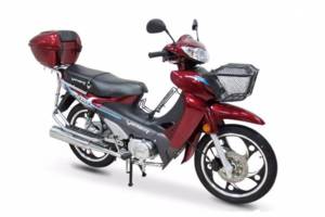 Viper Active 2018 року