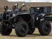 Yamaha Grizzly II поколение Квадроцикл