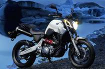 Yamaha MT Base