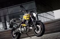 Yamaha MT Base