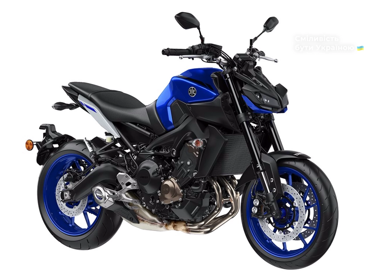 Yamaha MT Base