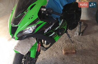 Kawasaki Ninja 1000 ZX-10R  2016