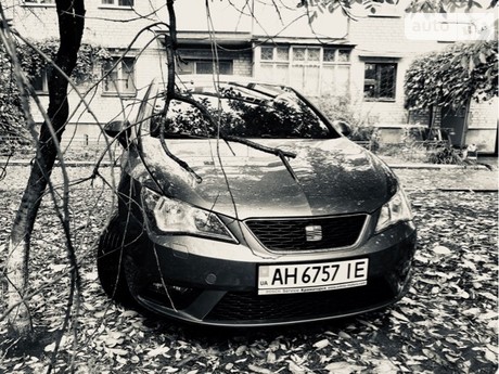 SEAT Ibiza 2013