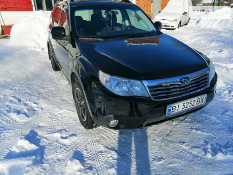 Forester Subaru Forester