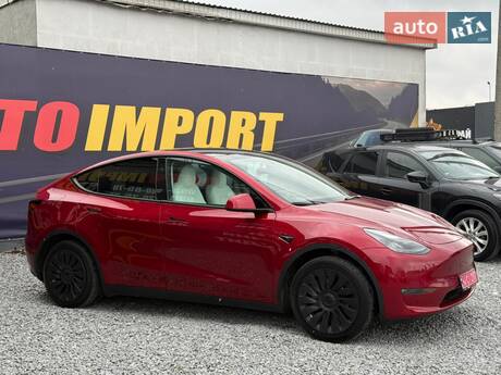 Tesla Model Y 2024 в Стрию