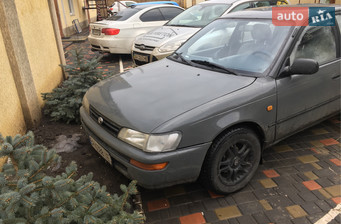 Toyota Corolla Toyota Corolla