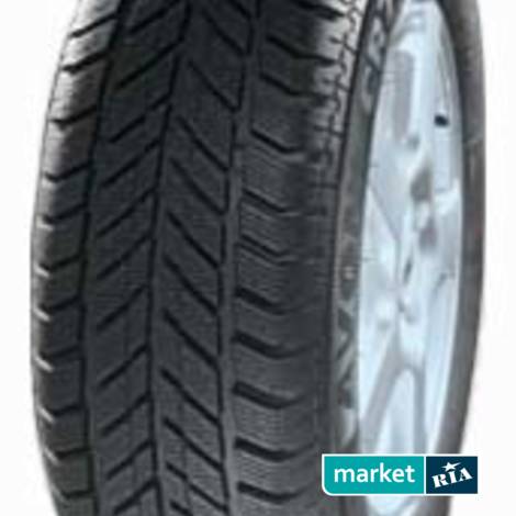 Зимние шины  Avon CR75 (185/65R14 86T): фото