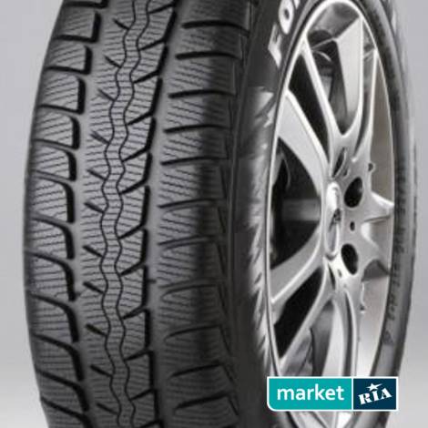 Зимние шины  Ceat FORMULA WINTER (205/55R16 91T): фото