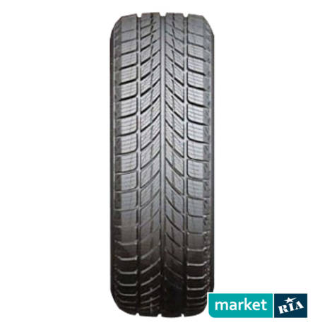 Зимние шины  Horizon Hw505 (235/55R17 103H): фото