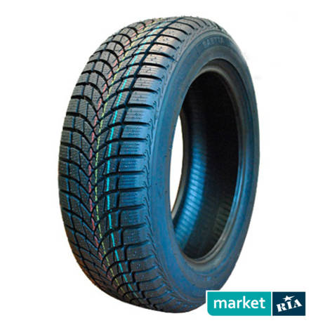 Зимние шины  Saetta Winter (175/70R14 84T): фото