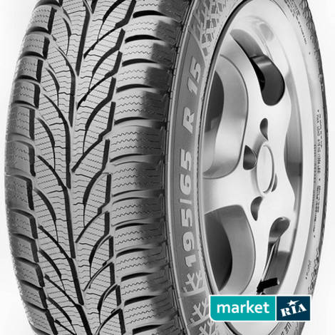 Зимние шины  Paxaro WINTER (215/55R16 93H): фото