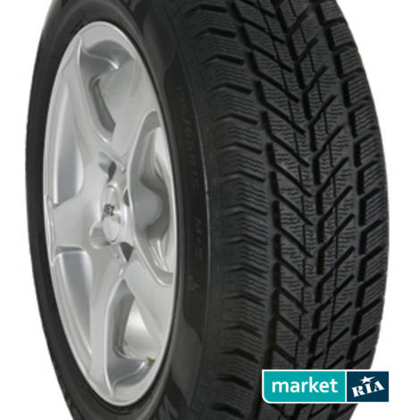 Зимние шины  Cooper WEATHER-MASTER SNOW (225/45R17 91H): фото