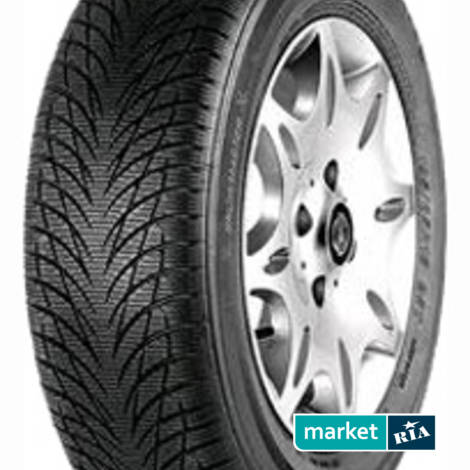 Зимние шины  Westlake SW602 (185/65R15 88H): фото