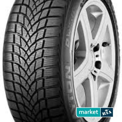 Зимние шины  Dayton DW 510 (165/70R14 81T): фото