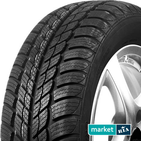 Зимние шины  Riken Snowtime (205/65R15 94T): фото