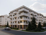 Лески