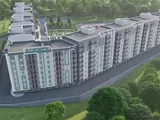 Зарванцы